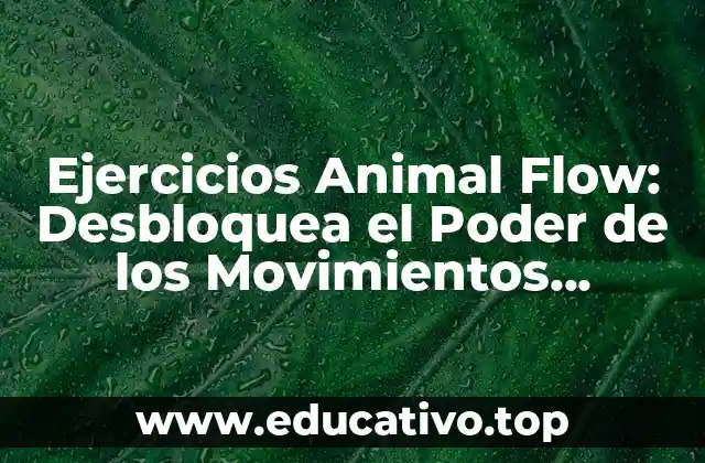 Ejercicios Animal Flow: Desbloquea el Poder de los Movimientos Animales