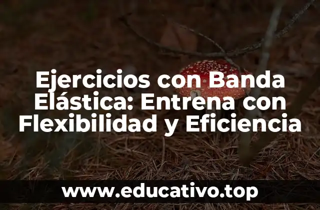 Ejercicios con Banda Elástica: Entrena con Flexibilidad y Eficiencia