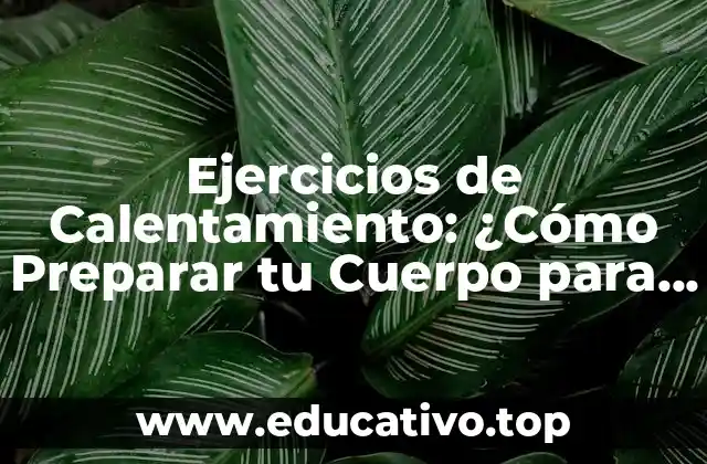 Ejercicios de Calentamiento: ¿Cómo Preparar tu Cuerpo para el Deporte?