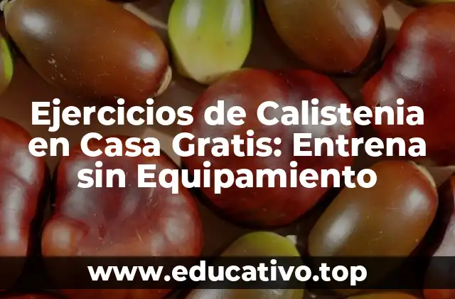 Ejercicios de Calistenia en Casa Gratis: Entrena sin Equipamiento