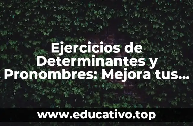 Ejercicios de Determinantes y Pronombres: Mejora tus Habilidades Gramaticales