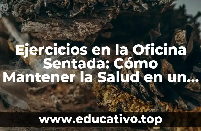 Ejercicios en la Oficina Sentada: Cómo Mantener la Salud en un Entorno Laboral Sedentario
