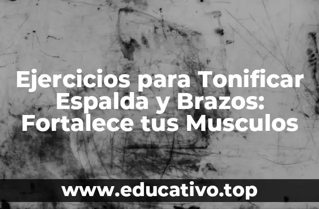 Ejercicios para Tonificar Espalda y Brazos: Fortalece tus Musculos