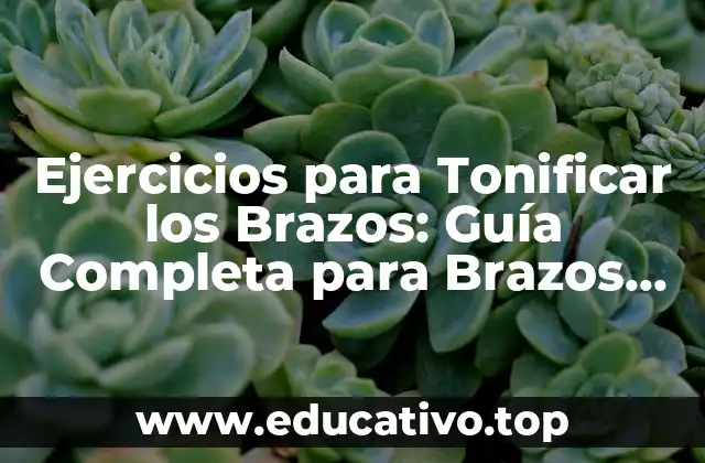 Ejercicios para Tonificar los Brazos: Guía Completa para Brazos Fuertes y Tónicos