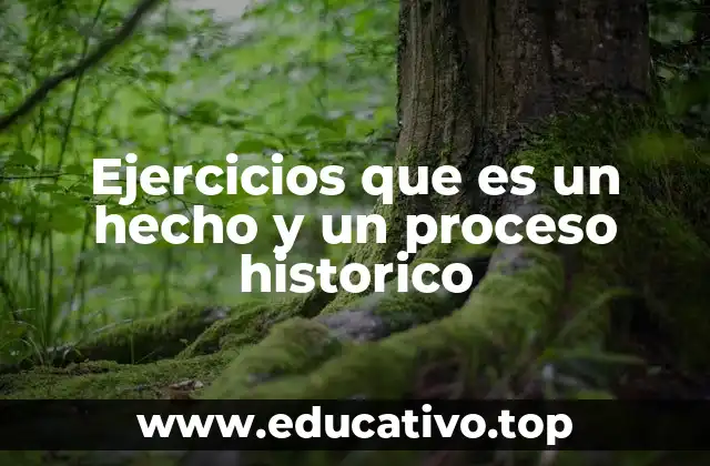 Ejercicios que es un hecho y un proceso historico