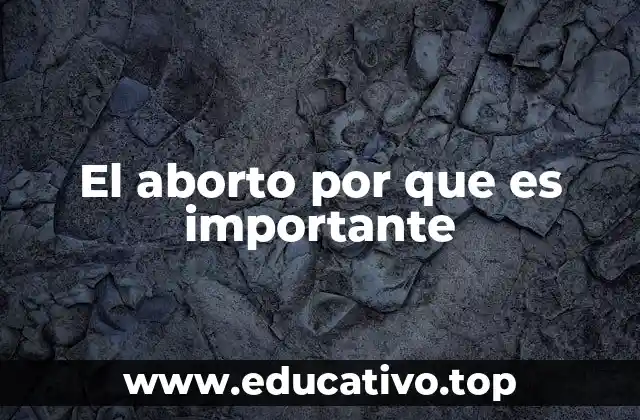 El aborto por que es importante