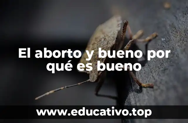 El aborto y bueno por qué es bueno