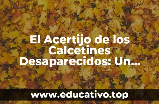 El Acertijo de los Calcetines Desaparecidos: Un Misterio Universal