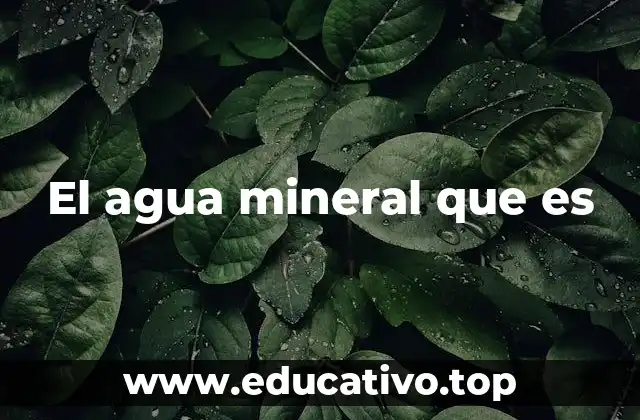 El agua mineral que es