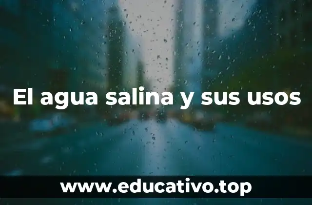 El agua salina y sus usos