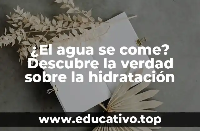 ¿El agua se come? Descubre la verdad sobre la hidratación