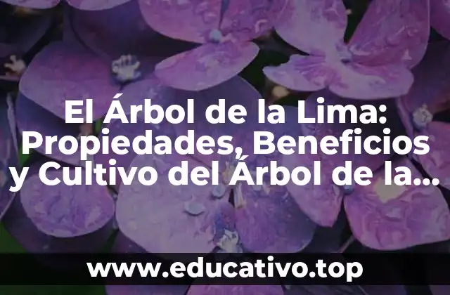 El Árbol de la Lima: Propiedades, Beneficios y Cultivo del Árbol de la Lima