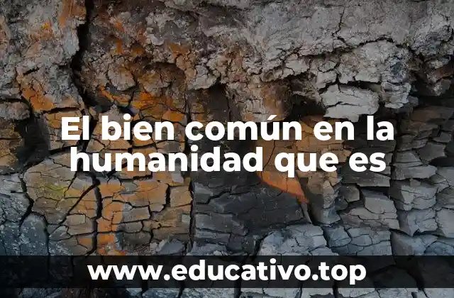 El bien común en la humanidad que es