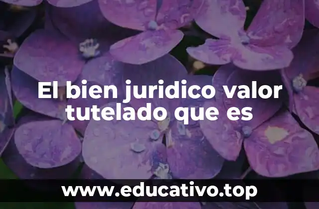 El bien juridico valor tutelado que es