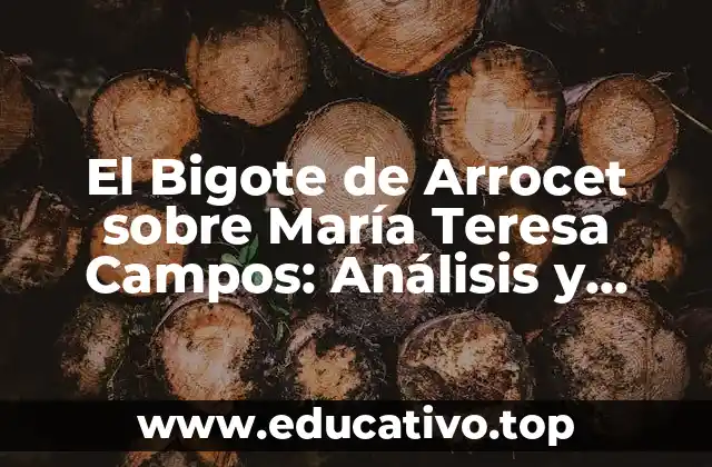 El Bigote de Arrocet sobre María Teresa Campos: Análisis y Curiosidades