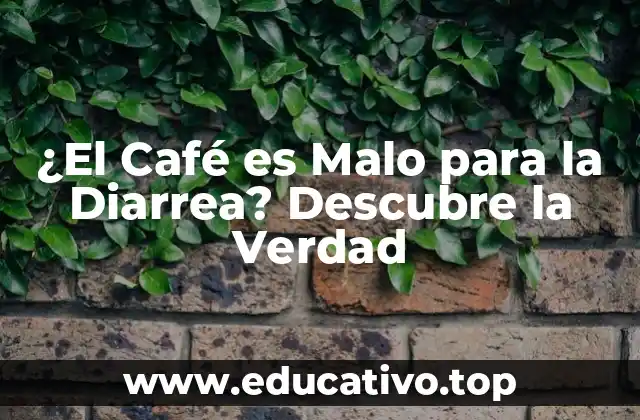 ¿El Café es Malo para la Diarrea? Descubre la Verdad