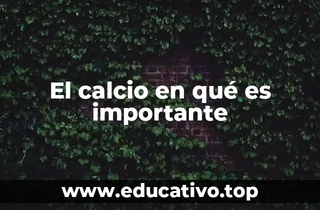 El mineral clave para la salud ósea y más allá