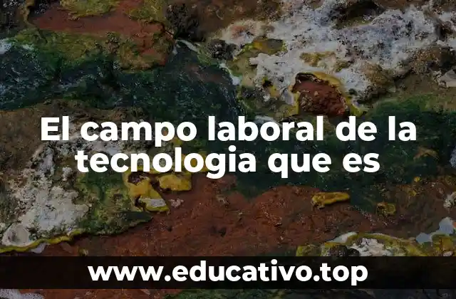 El campo laboral de la tecnologia que es
