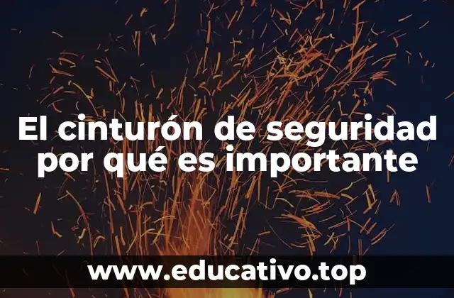 La ciencia detrás del cinturón de seguridad