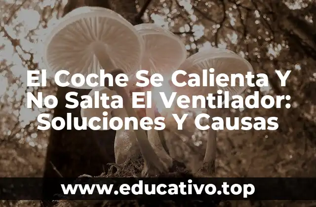 El Coche Se Calienta Y No Salta El Ventilador: Soluciones Y Causas