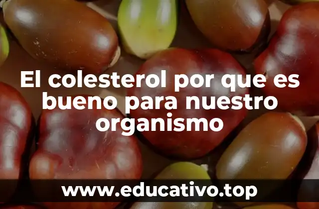 El colesterol por que es bueno para nuestro organismo