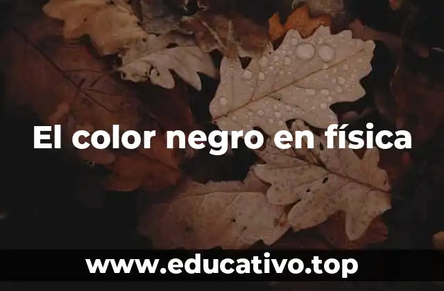 El color negro en física