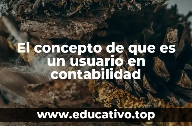 El concepto de que es un usuario en contabilidad