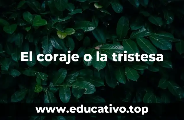 La fuerza emocional detrás de nuestras decisiones