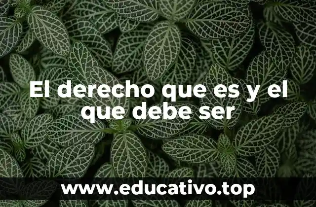 El derecho que es y el que debe ser