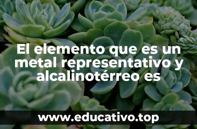 El elemento que es un metal representativo y alcalinotérreo es
