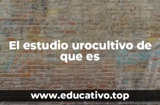 El estudio urocultivo de que es