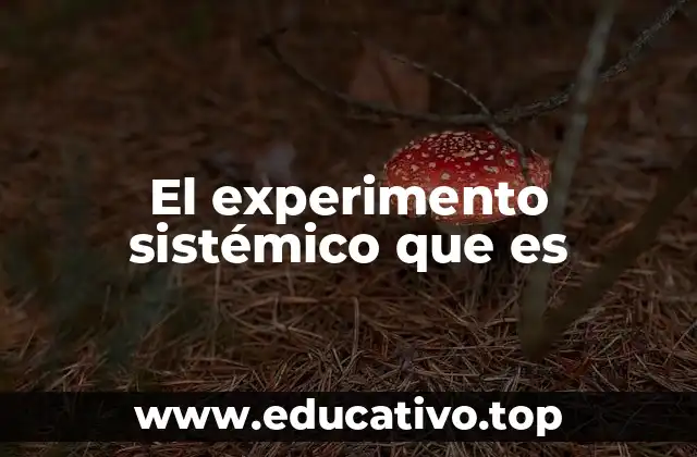 El experimento sistémico que es