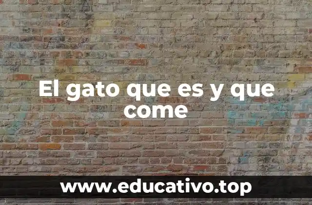 El gato que es y que come