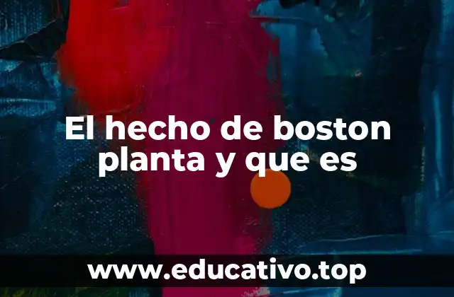 El hecho de boston planta y que es