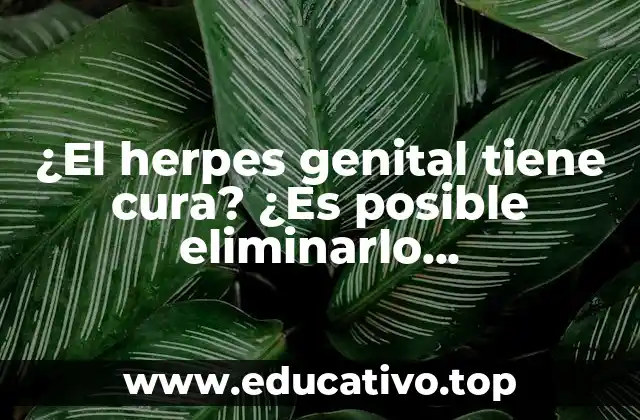¿El herpes genital tiene cura? ¿Es posible eliminarlo definitivamente?