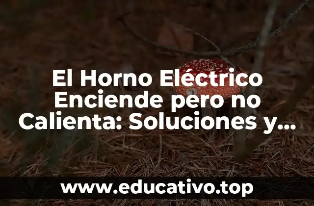 El Horno Eléctrico Enciende pero no Calienta: Soluciones y Causas