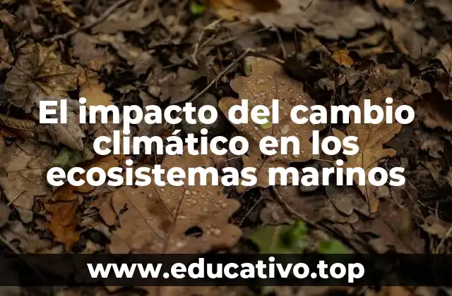 La relación entre el calentamiento global y la pérdida de biodiversidad marina
