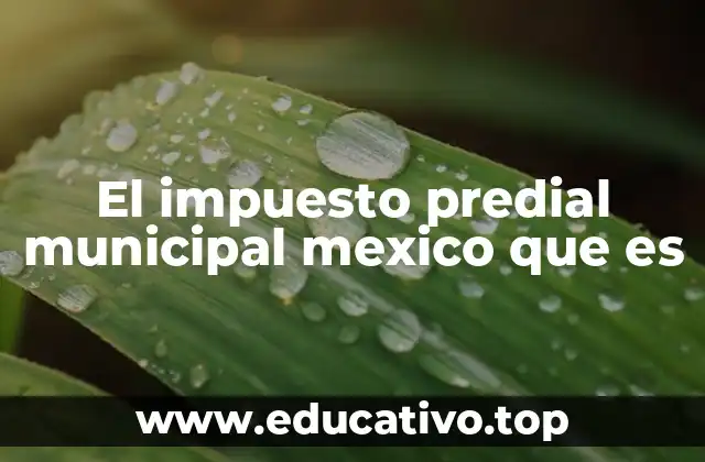 El impuesto predial municipal mexico que es