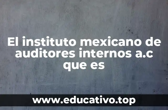 El instituto mexicano de auditores internos a.c que es