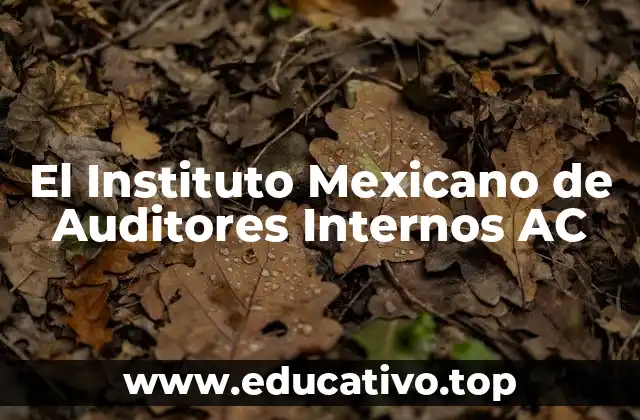 El Instituto Mexicano de Auditores Internos AC
