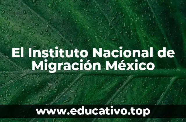 El Instituto Nacional de Migración México