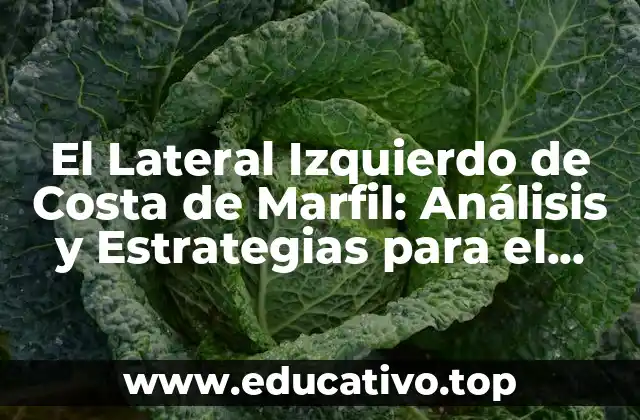 El Lateral Izquierdo de Costa de Marfil: Análisis y Estrategias para el Éxito