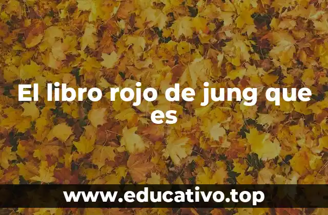 El libro rojo de jung que es