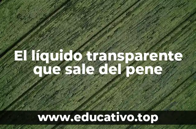 El líquido transparente que sale del pene