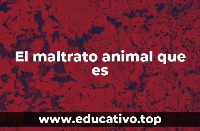 El maltrato animal que es