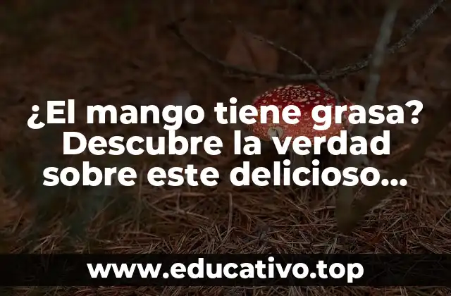 ¿El mango tiene grasa? Descubre la verdad sobre este delicioso fruto