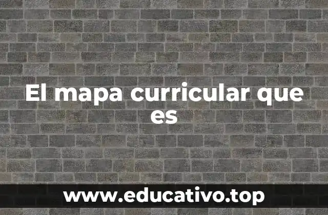 El mapa curricular que es