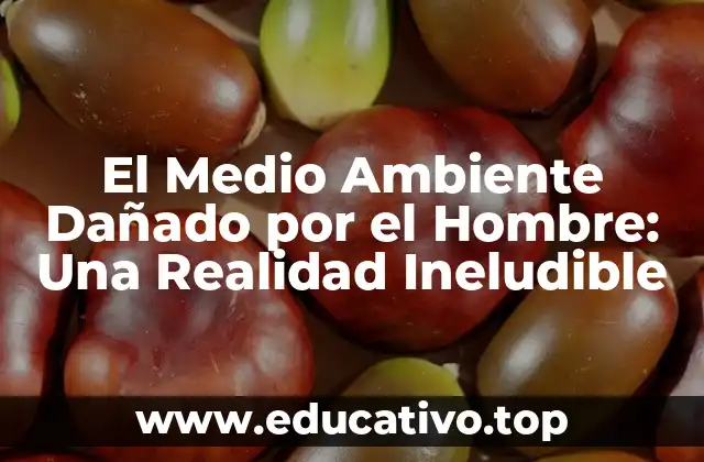 El Medio Ambiente Dañado por el Hombre: Una Realidad Ineludible