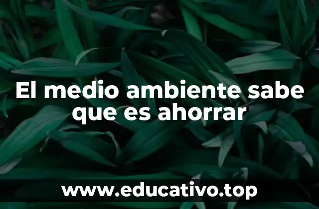 El medio ambiente sabe que es ahorrar