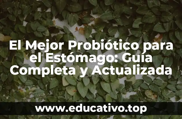 El Mejor Probiótico para el Estómago: Guía Completa y Actualizada